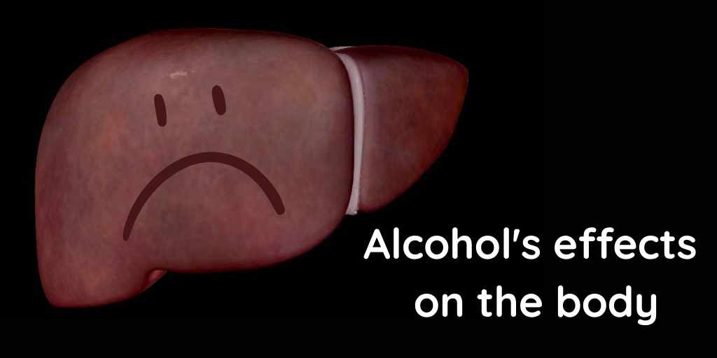 Visible Booze How Alcohol Affects the Body